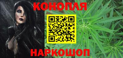 прущие крисы Малгобек
