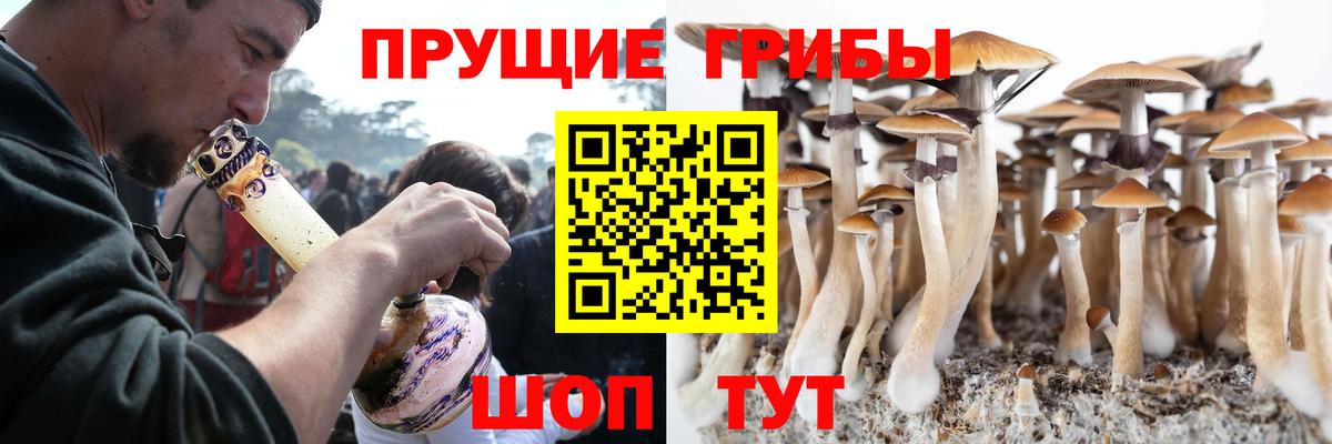 Галлюциногенные грибы Cubensis Юрга